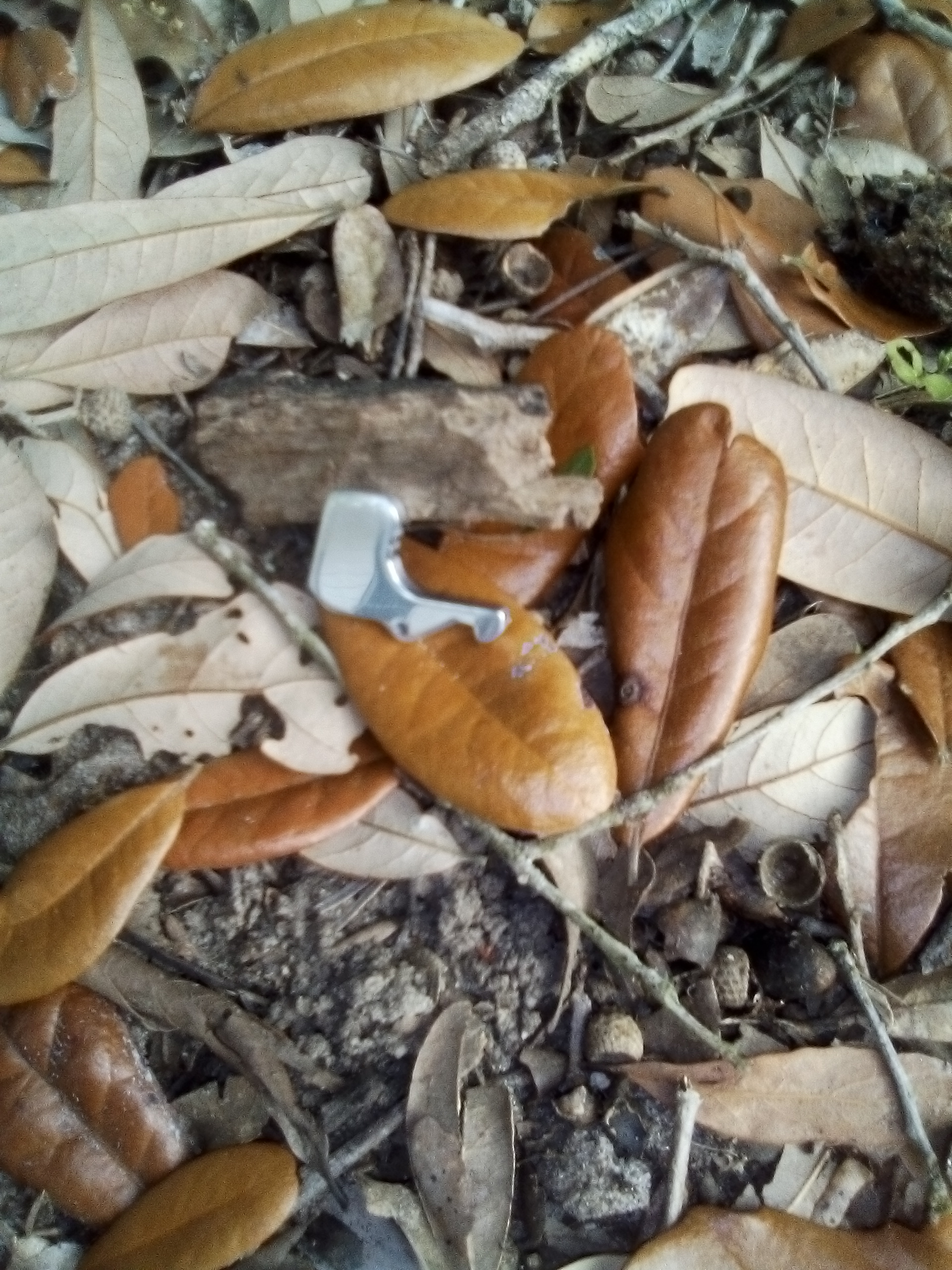 Hand Polished Charging Handle Latch